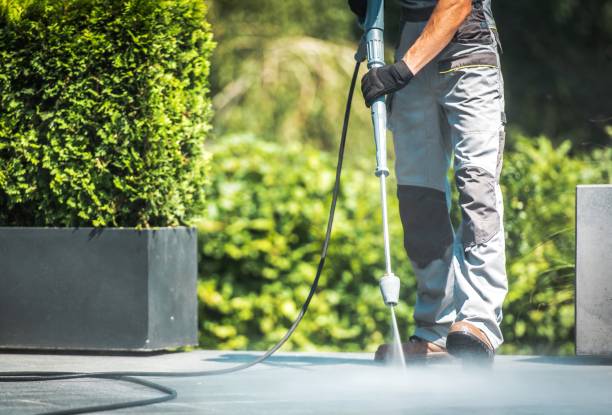 Best Pre-Holiday Cleaning  in St Louis, MI
